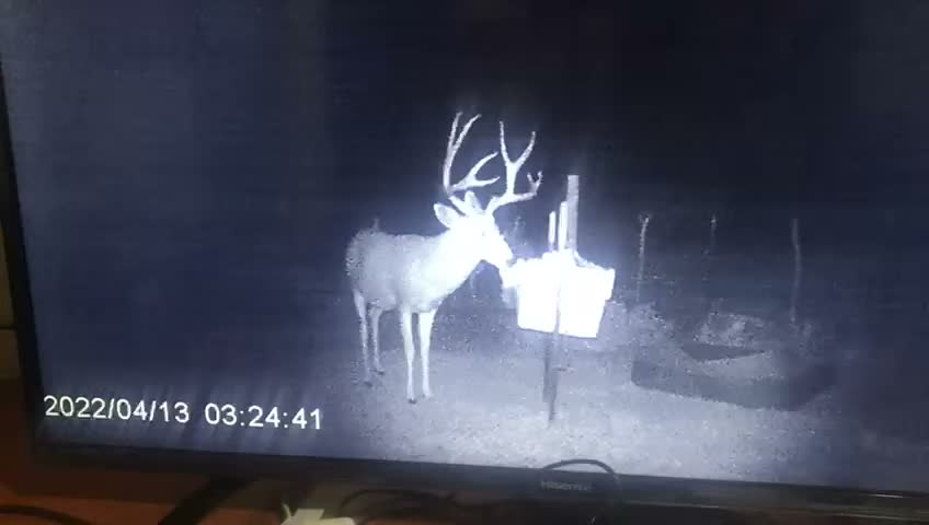 Video 14