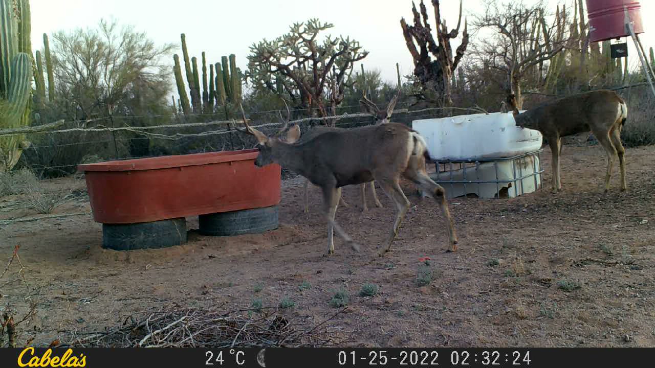 Video 6