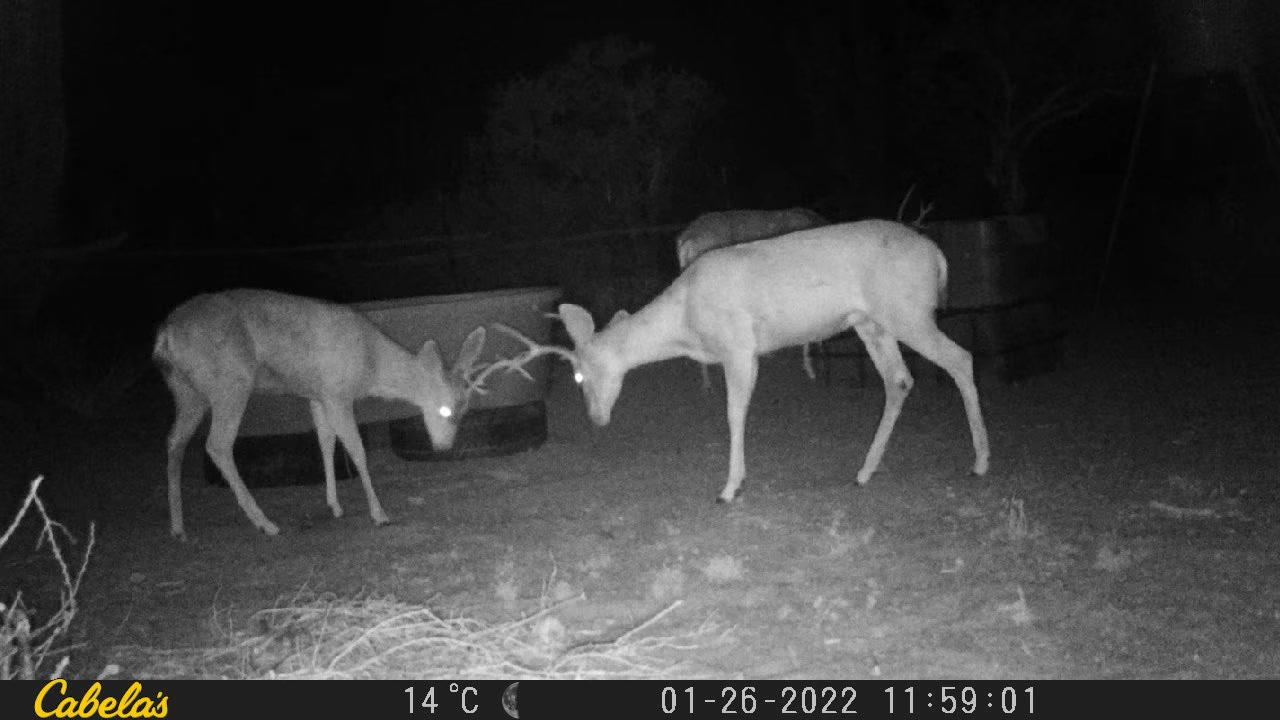 Video 9